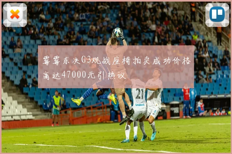 霉霉东决G3观战座椅拍卖成功价格高达47000元引热议