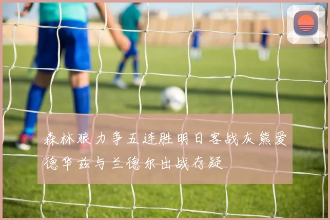 森林狼力争五连胜明日客战灰熊爱德华兹与兰德尔出战存疑